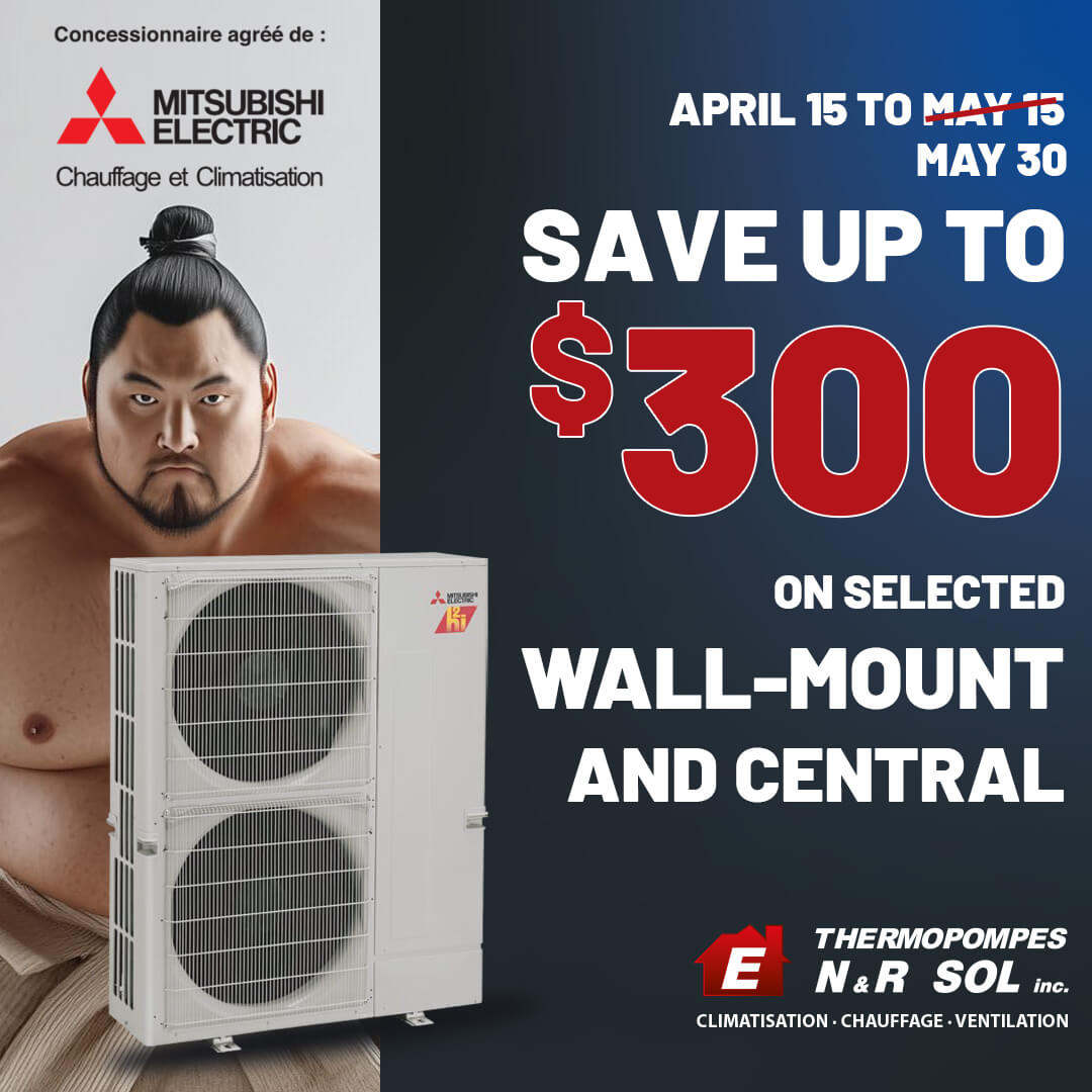 Promo mitsu 30 en