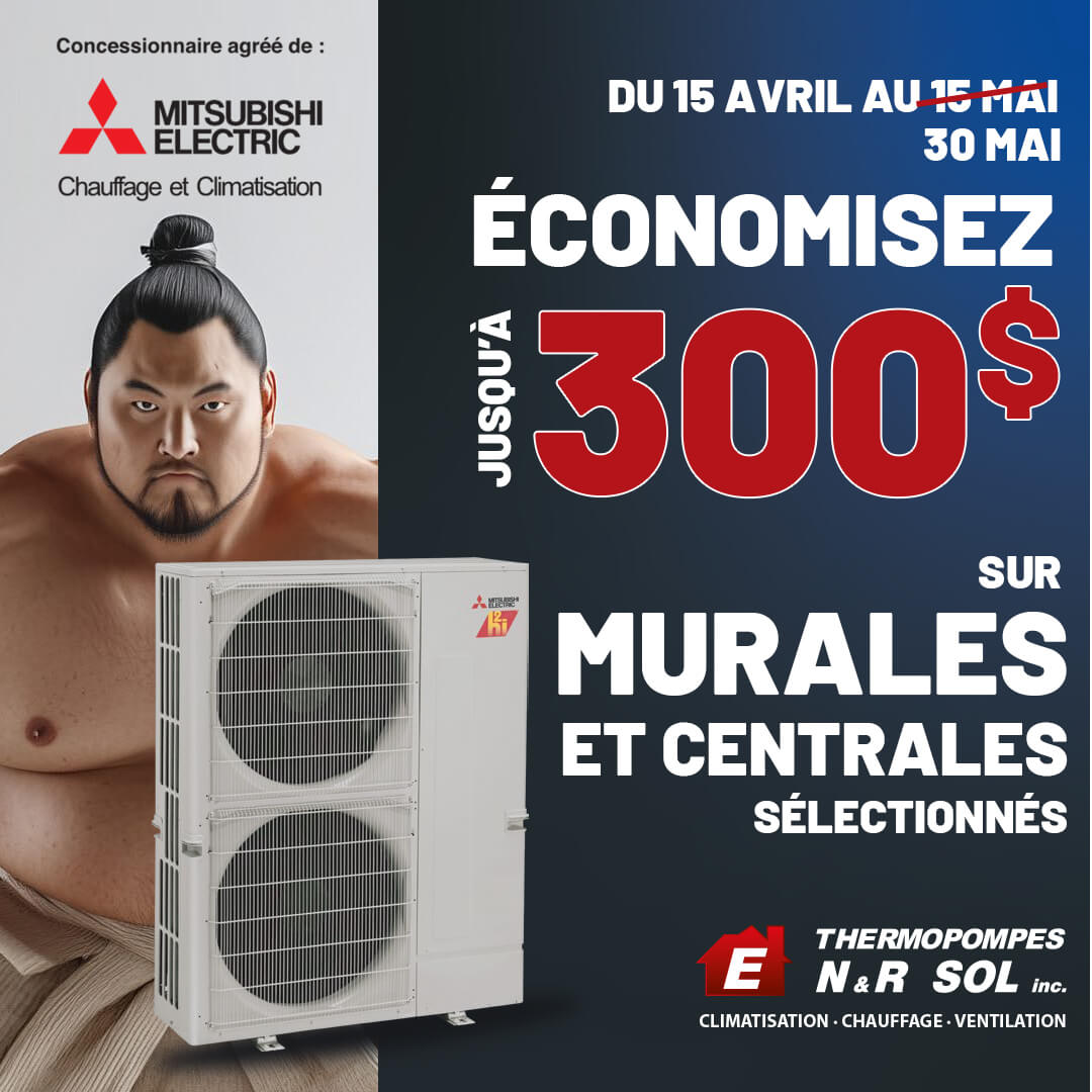 Promo mitsu 30